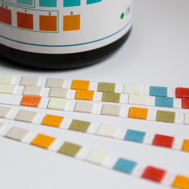 Just another WordPress site