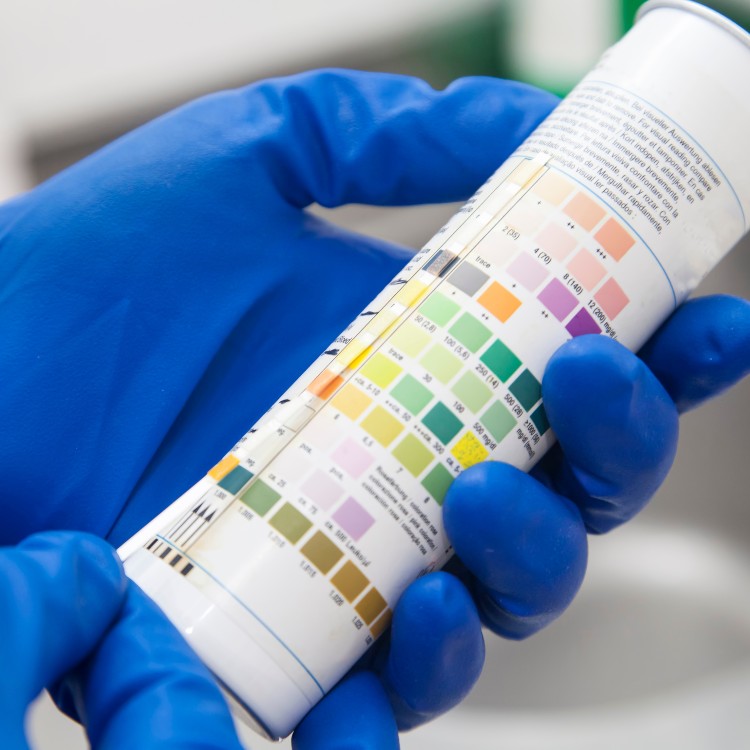 Just another WordPress site